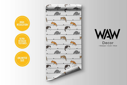 WAW Decors cartoon cats wallpaper roll, high-resolution print in unlimited custom sizes